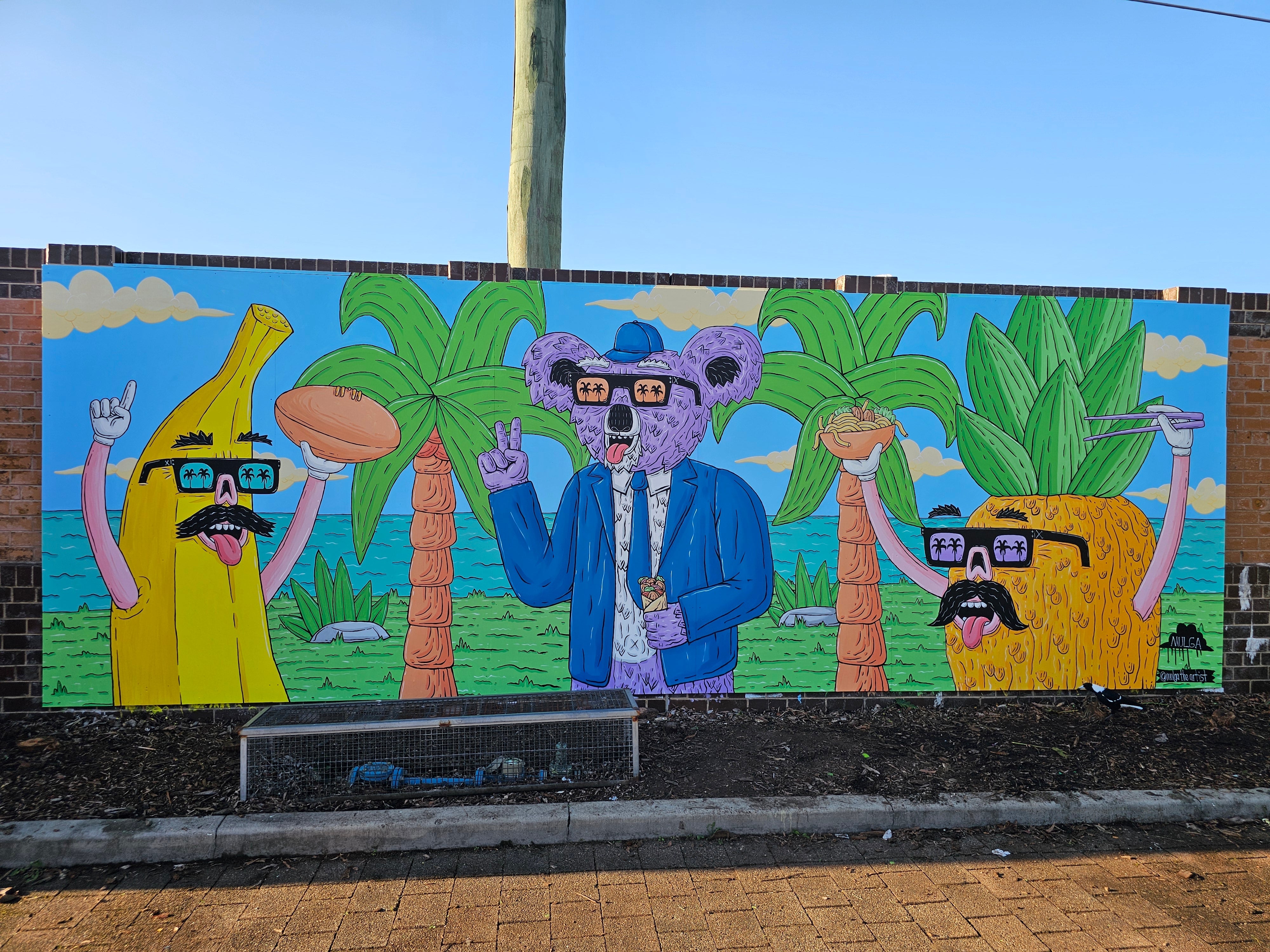 Mulga x Speedo Japan 2024 – Mulga The Artist