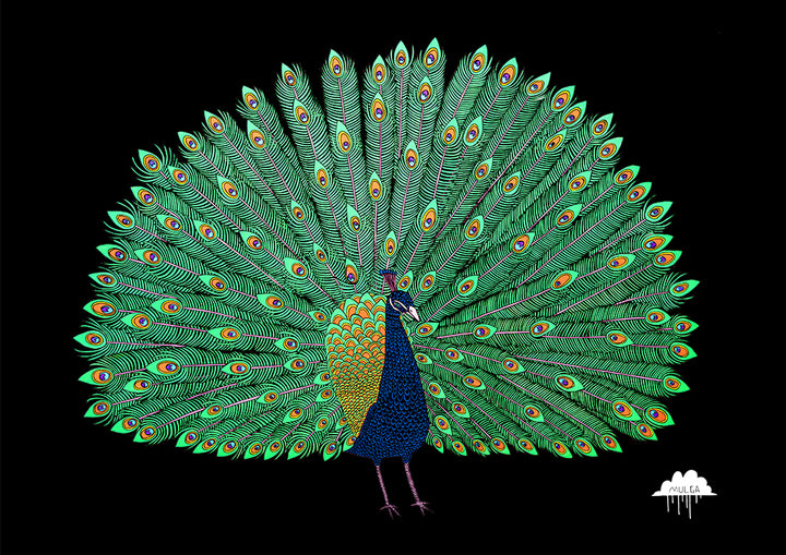 Pronger the Peacock - Fine Art Print