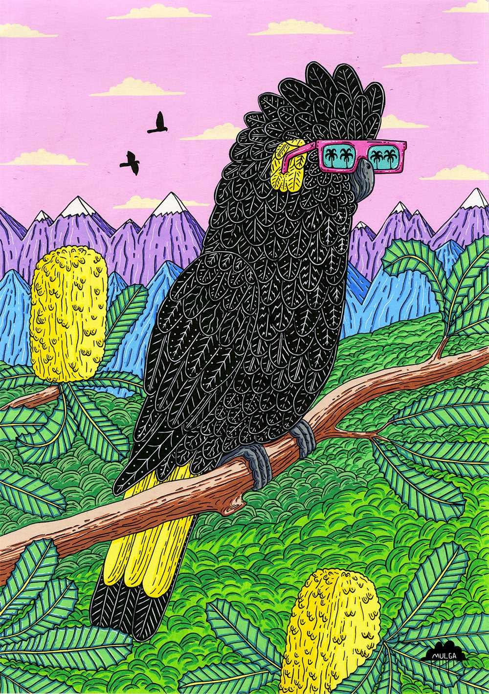 Bettina the Black Cockatoo - Fine Art Print